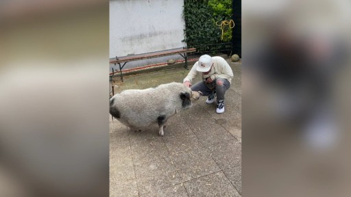 Flo mit seinem Schwein 